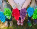Цветная пудра Holi Powder Holi Festival of Colors НАБОР 12 шт. в сейфе