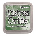 DISTRESS OXIDE INK Деревенская дикая местность - Чернила Ranger