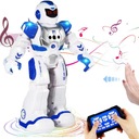 ПРОГРАММИРУЕМЫЙ ИНТЕРАКТИВНЫЙ РОБОТ С ДИСТАНЦИОННЫМ УПРАВЛЕНИЕМ