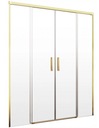 Душевая дверь Idea DWD GOLD 160x200,5 RADAWAY