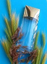 Парфуми та парфумована вода Calvin Klein 100 ml парфумована вода — фото 9