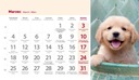 Календарь настольный на 2024 год ФОТО 19,5х11см ДРУЗЬЯ