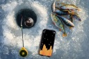 РЫБАЛКА ЭКСПЕДИЦИЯ WI-FI ЭХОНАР ДЛЯ ОБНАРУЖЕНИЯ РЫБЫ
