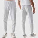 Мужские спортивные штаны 4f L Joggers ttrom1139 SS25