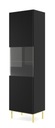 Vitrína Ravenna B 1D 60 cm artisan čierny rám Typ voľne stojace