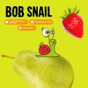 МЕГА Набір Фруктових Роллсів BOB SNAIL здорова закуска МІКС 4 смаки 36х30г
