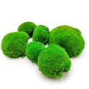 Vankúšový mach - Stredne zelený Prírodný PREMIUM - 2KG ŠVAJČIARSKO Hmotnosť machu 2000 g