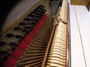 Дешевое идеальное пианино от HELLAS