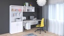 Biurko komputerowe do pracy w domu meble biurowe Kolor blatu calvados