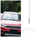 NOIRE TOITS ANTENNE AUTOMOBILE AVEC DOUBLE ODBIOREM SYGNALUphoto 10
