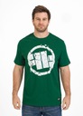 Pánske tričko Pitbull Scratch T-Shirt Bavlna Potlač Klasické tričko Kód výrobcu 213006370003