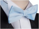 Элегантный мужской галстук-бабочка под рубашку синий mug05