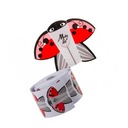 500 ШАБЛОНОВ НОГТЕЙ в форме божьей коровки, биедронка