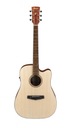 Гитара Ibanez PF10CE-OPN Open Pore Natural