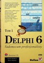 Ксавье Пачеко Стив Тейшейра - Delphi 6, том 1