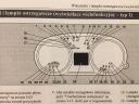 MITSUBISHI OUTLANDER 3 FL 2015-2018 ПОЛЬЩА ІНСТРУКЦІЯ ОБСЛУГОВУВАННЯ + РАДІО TEL  (18239097046) фото min 11