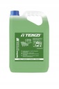 Жидкость для пола Tenzi Supergreen Specjal NF 5л