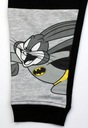 Детский комплект Толстовка спортивные штаны WB 100th Anniversary of Looney Tunes BATMAN 8 лет