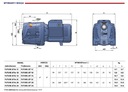 Pompa Pedrollo FUTURE-JET 2A 400V idealna dla domu jednorodzinnego Producent Pedrollo