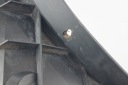 GLISSIÈRE PARE-CHOCS GAUCHE ARRIÈRE AUDI A3 8L 8L0807377Fphoto 12