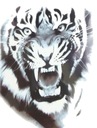Наклейка с изображением тигра TM239