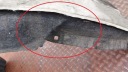TOYOTA OE 53878-42080 PASSAGE DE ROUE AVANT GAUCHEphoto 12