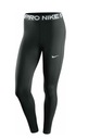 Legíny Nike Pro 365 Tight CZ9779 010 L