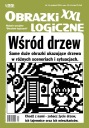 Логические картинки XXL - Среди деревьев - 14