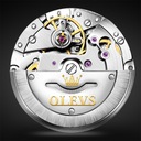 OLEVS 9927 Pánske hodinky Mechanická nedeľa Hmotnosť (s balením) 0.5 kg