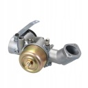 CARBURATEUR TRAKTORKA TONDEUSES BRIGGS 491026 GERMANphoto 7