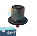 TERMOSTAT FAE do CITROEN C6 3.0 V6