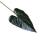 КАЛЛИ ЛИСТ, ЗЕЛЕНЫЙ, ИСКУССТВЕННЫЙ, ВОСКОВЫЙ, 50 см