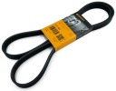 CORTECO 676956 KOLO POULIE BMW PCS CORTECOphoto 16