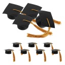 DECORATIVE ROOFS DO PIWA 20 PIECES BLACK Z PODZIALKA  photo 5