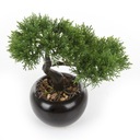 искусственное дерево БОНСАЙ, кедр, 25 см, черный вазон, японское хвойное дерево БОНСАЙ