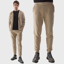 4F МУЖСКИЕ СПОРТИВНЫЕ БРЮКИ, ДЖОГГЕРЫ, СПОРТИВНЫЕ БРЮКИ, ВЛ. ВЛ.24