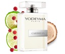 МУЖСКИЕ ДУХИ YODEYMA CARIBBEAN 100МЛ