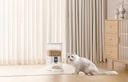 Petsuper Dávkovač krmiva Kamera 5 l Podavač Miska Pro Psa Kočku S aplikací Kapacita 5 l