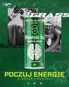 Napój energetyzujący ALBAŃSKI RAJ ENERGY DRINK 250 ml 24 szt. energetyk Nazwa handlowa ALBAŃSKI RAJ GREEN POWER