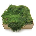 200 г мохового наполнителя FLAT для мохового мха