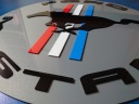 LOGO FORD MUSTANG SUR PAROIS CADEAU POUR MEZA CHLOPAKA VERS BOÎTIERS GARAZU 90CMphoto 9