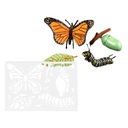 Hračka životného cyklu so šablónou maľovania motýľa EAN (GTIN) 0791225484743