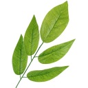 LEAVES SPRANGE LEAF 55см ИСКУССТВЕННЫЕ ТРАНСЫ ДЛЯ ЦВЕТОЧНОГО ПЛАТЬЯ КАК ЖИВЫЕ