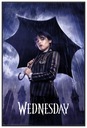 Wednesday Downpour - plakat 61x91,5 cm Szerokość produktu 61 cm