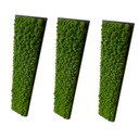 Набор картин Crab Moss NATURAL 100 х 20 см