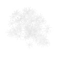 Модель дисплея с пауками и ошибками, 100 шт.