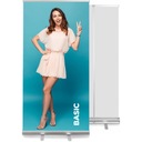 РОЛЛ-АП Базовая кассета 100х200 + пакет, без печати