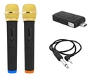 MIC03 Набор беспроводных микрофонов USB, 2 шт.