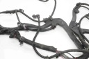 КОМПЛЕКТ ПРОВОДІВ ПРОВОДА TESLA ТИП X 103244802G 32405973 568KW 2018  (18422815708) фото min 9