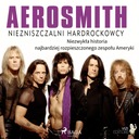 Aerosmith - Niezniszczalni hardrockowcy Język publikacji polski
